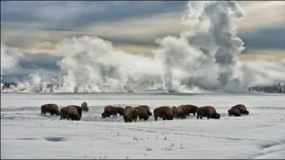 Tu as eu l'opportunit de visiter les vastes plaines de l'Amrique du Nord, et c'est ce spectacle que tu as pu voir !