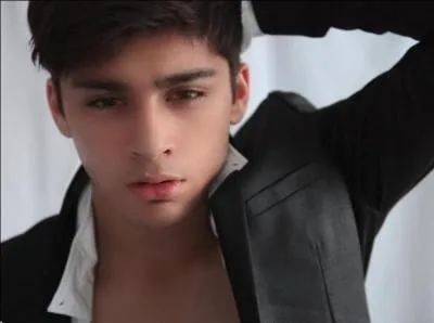 Combien de surs a Zayn ?