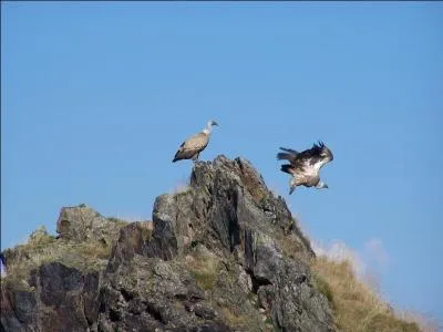 Dans quelles annes la dmarche Natura 2000 a-t-elle t initie ?