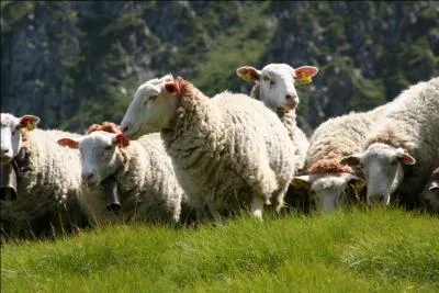 Quel milieu est aussi particulirement utilis par nos amies de la photo ?