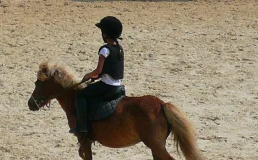 Quiz Galop 1
