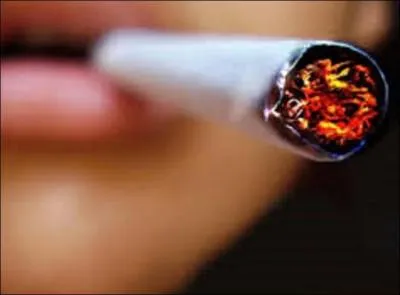 Graines de star, Star Academy et The Voice... A qui doit-on la chanson  Mademoiselle fume  sortie en 2012 ?