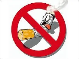 Quel est le titre exact de la chanson chante par Renaud ?