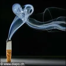 Retrouvez l'interprte grce aux paroles :  L'amour c'est comme une cigarette. a brle et a monte  la tte. Quand on ne peut plus s'en passer. Tout a s'envole en fume...  .