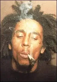 Dans la mme veine si j'ose dire, qui a reu un disque d'or en 2006 pour  La Boulette  ?