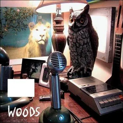 Quel est le nom de cet album de Woods ?