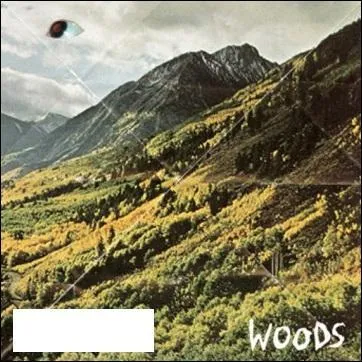 Comment se nomme cet album de Woods ?