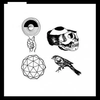 Quel nom porte cet album studio de Woods, paru en 2014 ?