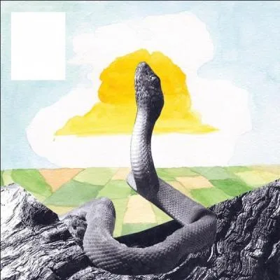 Comment se nomme cet album de Woods ?