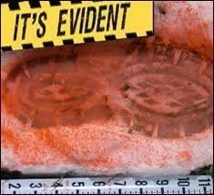 Remplacez les  ***  par un des deux mots proposs pour que la phrase ait un sens. Voici la phrase : ***, c'est vident !