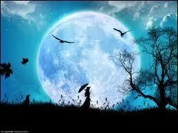 Soyons maintenant plus romantique. Elle marche au clair de ...