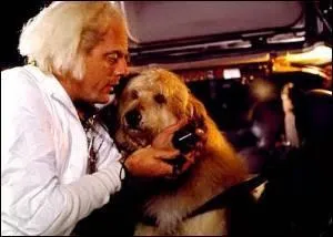 Que dit Doc quand Marty le filme ?