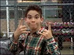 Quelle(s) est(sont) sa(ses) profession(s) ?