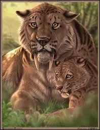 Allez, un peu d'histoire animale :