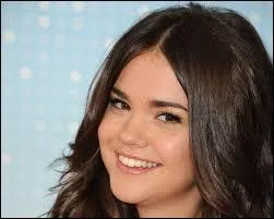 Quelles sont ses professions ?