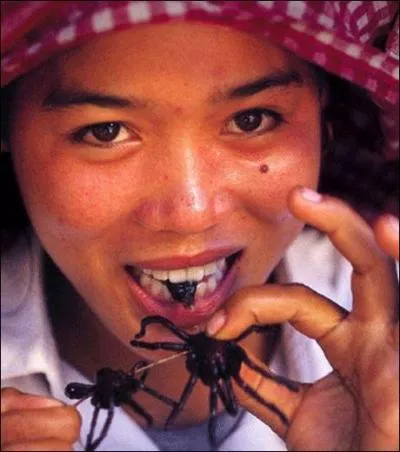 Mais a, c'tait juste pour vous ouvrir l'apptit, je vous emmne  prsent dans un autre endroit du monde, au Cambodge, o les gens ont des gots, comment dire ... diffrents !