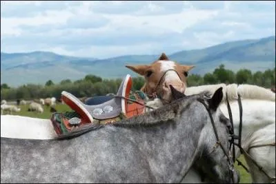 Un fer se renouvelle en moyenne tous les :