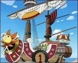 Qui a protg le  Thousand Sunny  pendant 2 ans ?