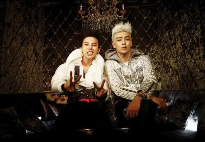 Quel groupe 'VIP' les membres GD et TOP ont-ils rencontr ?