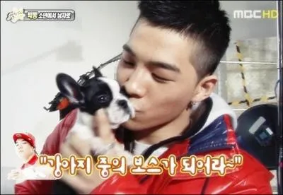 Quand Boss, le chien de Taeyang, est-il mort ?
