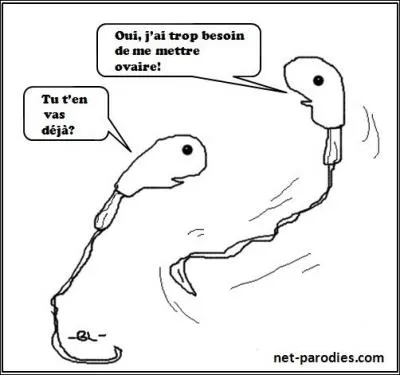 En ce qui concerne la fcondation, il n'est pas inutile de s'en souvenir : La fcondation est la rencontre de l'ovule et ...