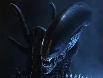 Il est galement trs utile de le savoir : Si l'oeuf ne se niche pas dans l'utrus, on dit que c'est ...