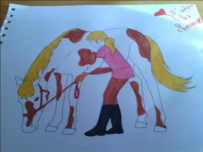 Pour brosser la crinière il faut...