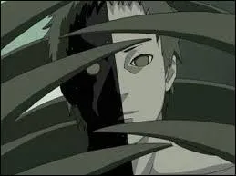 'Naruto' et 'Naruto Shippuden' : Zetsu est un membre d'une organisation appele 'Akatsuki'.