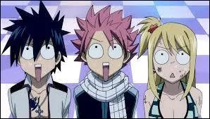 Lequel des 3 est un Dragon Slayer ?