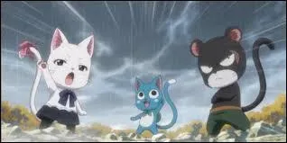 Comment appelle-t-on les  chats qui ont des ailes, comme Happy ou Carla ?