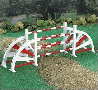 Quel est le nom de cet obstacle ?