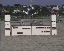 Quel est le nom de cet obstacle ?