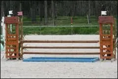 Quel est le nom de cet obstacle ?