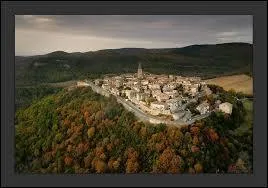 Quel est ce village plein de charme situ dans le dpartement du Tarn qui veille sur la valle de la Vre qui a rsist  de nombreux siges dont celui de Simon de Montfort lors de la croisade des albigeois ?