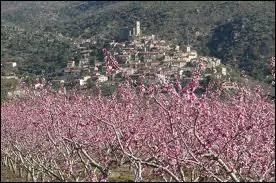 Charmant village des Pyrnes-Orientales, Eus embaume des odeurs de vergers, mais  quoi doit-il son nom ?