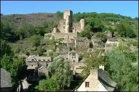Dans quel dpartement est situ Belcastel, village de charme situ sur l'ancienne route du sel en plein pays rignacois ?