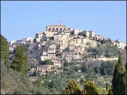 Quel est ce village provenal du Vaucluse, accroch  son rocher tel un nid d'aigle qui a sduit nombre d'artistes ?