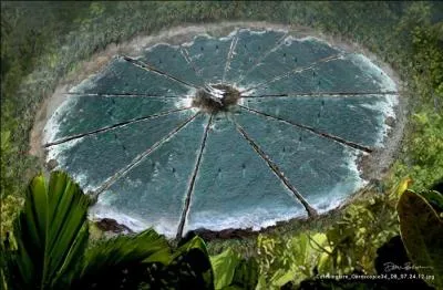 Quelle forme a l'arne dans  Hunger Games : L'Embrasement  ?