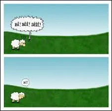 Les vouilles paissent dans le pr derrire chez moi. Alors, quels sont ces animaux ?