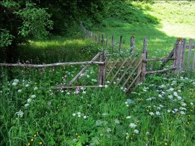 Derrire chez moi, il y a un buige, mais d'aprs vous, qu'est-ce que cela peut tre ?