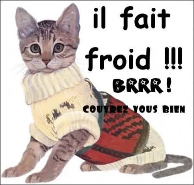 Ce matin, il a brad chez nous en Haute-Vienne. Vous donnez votre langue au chat ?