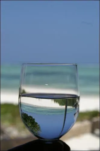 Qui chantait  Buvons encore une dernire fois  l'amiti, l'amour, la joie  ?