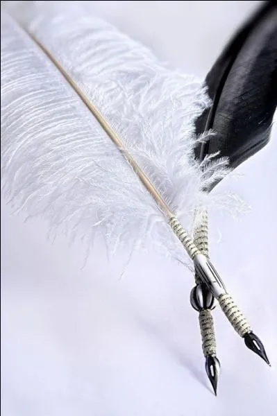 A quel sicle a-t-on commenc  crire avec des plumes d'oiseau ?