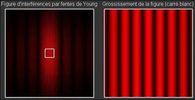 Quel principe est mis en valeur, au niveau du comportement de certaines particules, par l'exprience des  fentes de Young  ?
