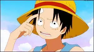 Luffy a-t-il un frre ? 