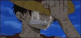 Aprs la guerre de Marine Ford, Luffy veut se venger d'Akainu. Pourquoi ?