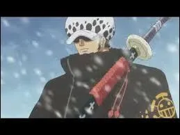 Pourquoi Luffy fait-il alliance avec Law  Punk Hazard ?