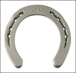 Pourquoi ne met-on jamais de fer sur les postérieurs d'un poney en paddock ?