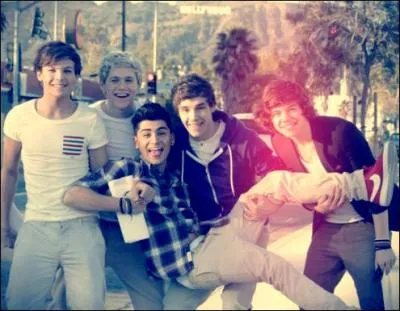 Par quelle mission ont-ils t connus ?