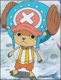 Tony Tony Chopper est un :